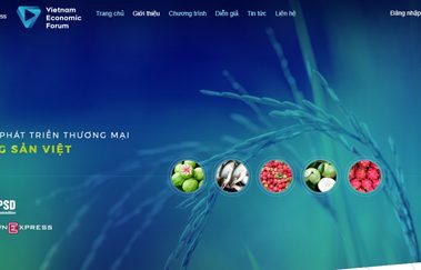 Giao diện chuyên trang Diễn đàn Kinh tế Việt Nam.