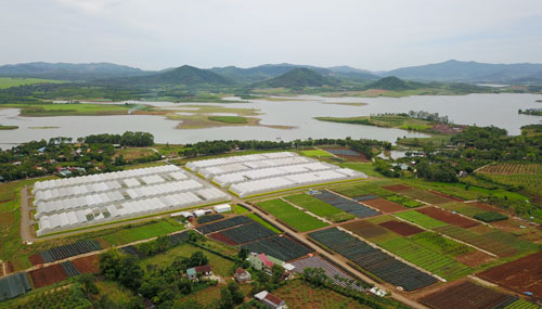 Toàn cảnh một trang trại rau củ quả FVF của Tập đoàn TH nhìn từ trên cao.